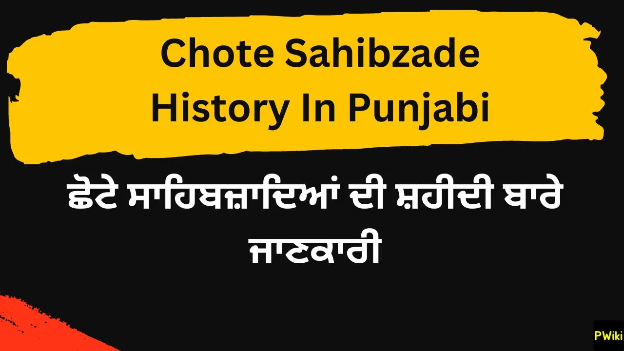 Chote Sahibzade History In Punjabi