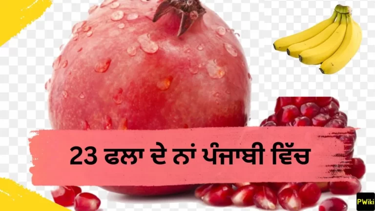 23 Fruits Name In Punjabi