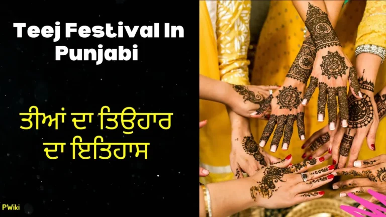 Teej Festival In Punjabi